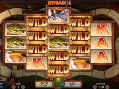 Automat hazardowy Jumanji bez rejestracji Automat hazardowy Jumanji bez rejestracji