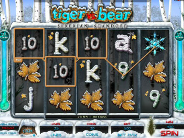Automat hazardowy Tiger vs. Bear bez rejestracji Automat hazardowy Tiger vs. Bear bez rejestracji